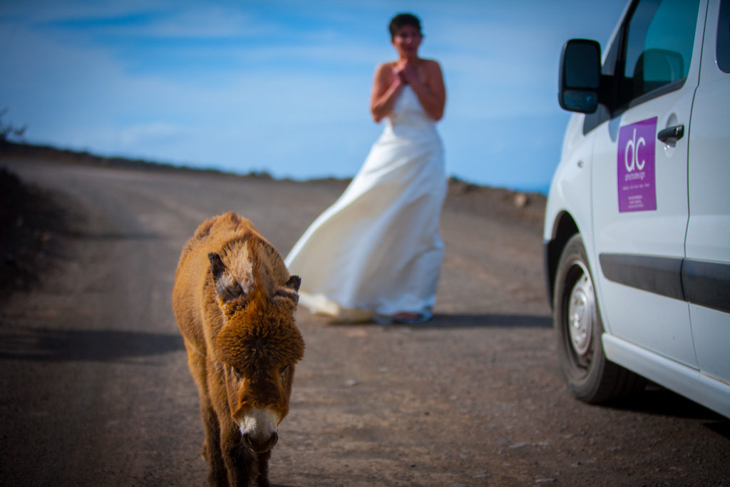 Brautpaar Fotoshooting auf Fuerteventura