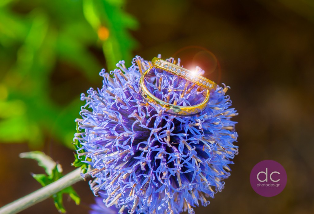 Trauringe auf Blume Hochzeitsfotografen Hanau am Schloss Philippsruhe